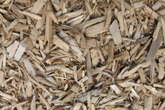 biomass boilers Coppicegate